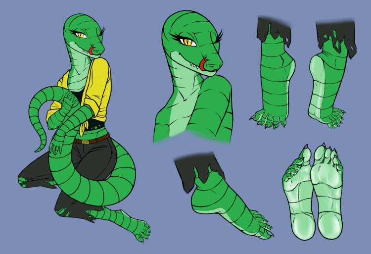 Lizard Lizard Reference
