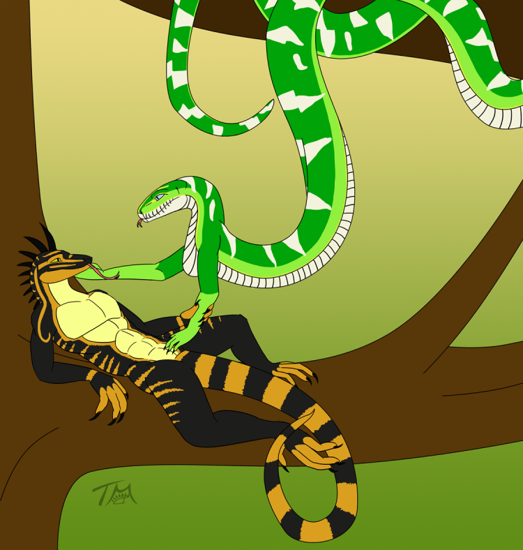 Amanda Lizard Lizard