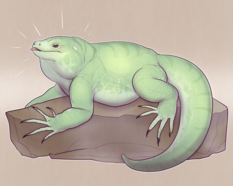 Thick lizards