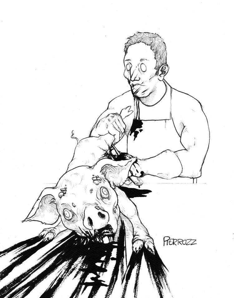 Pooptomy castration nollo