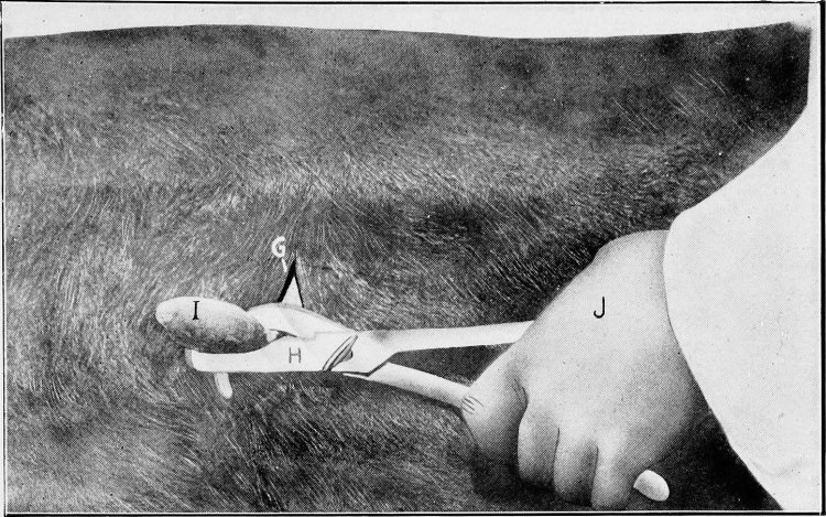 Huge Extra Saging Testicles Low Hanging Arton Cartoon Castration Fantasy