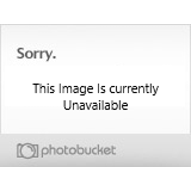 Long legs in women adults