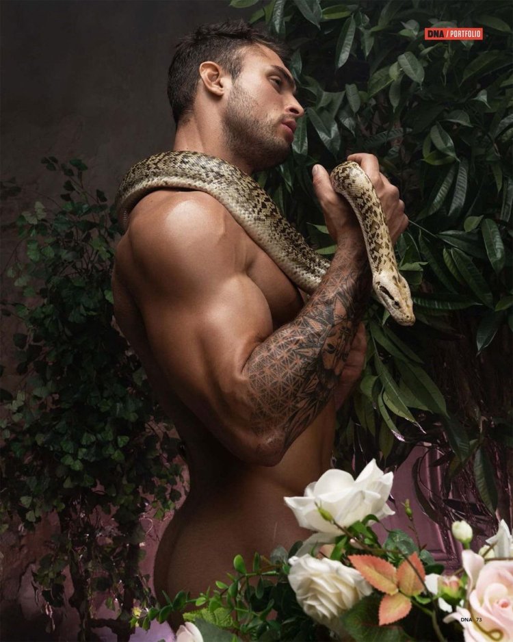 Jafar Akhmedov Nick Mesh