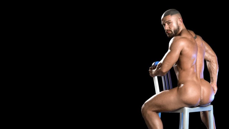 Naked guys in erotic poses