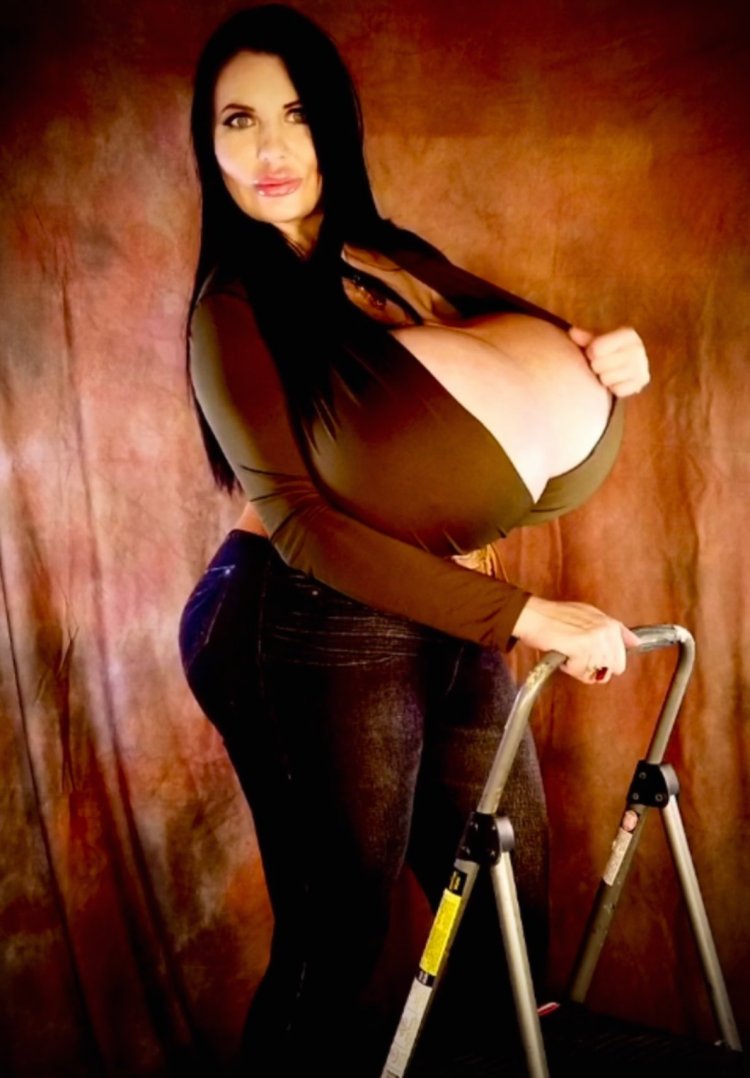 Foxy Menagerie Verre