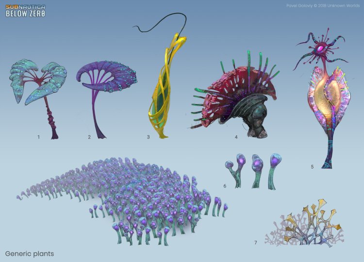 Robin Huddol Sabnatic