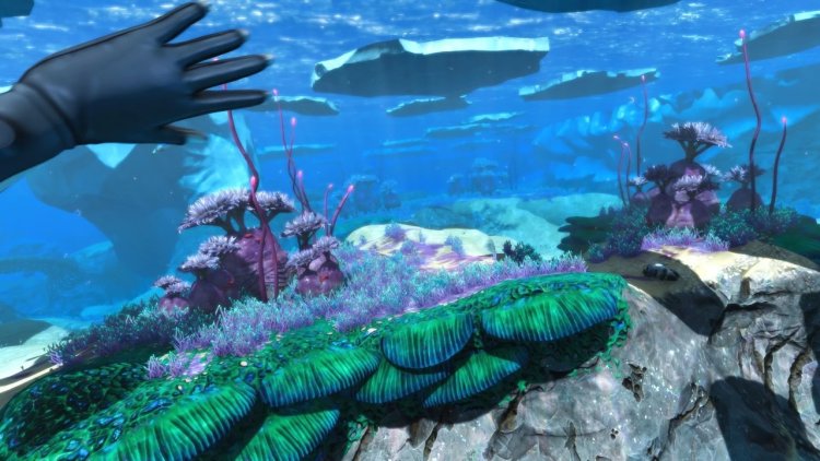 Purple tablet Subnautica