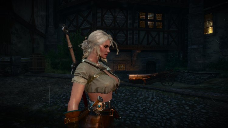 Witcher Tsiri chest