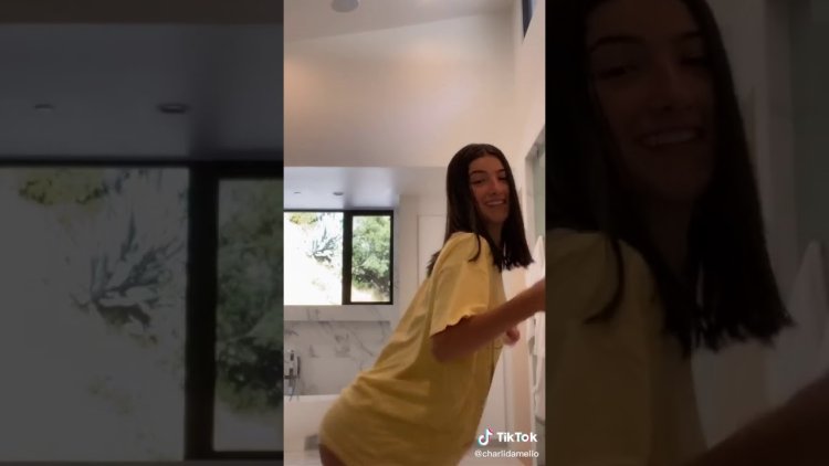 Charlie Damelio drain