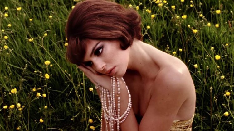 Porn actress Kendall Jenner