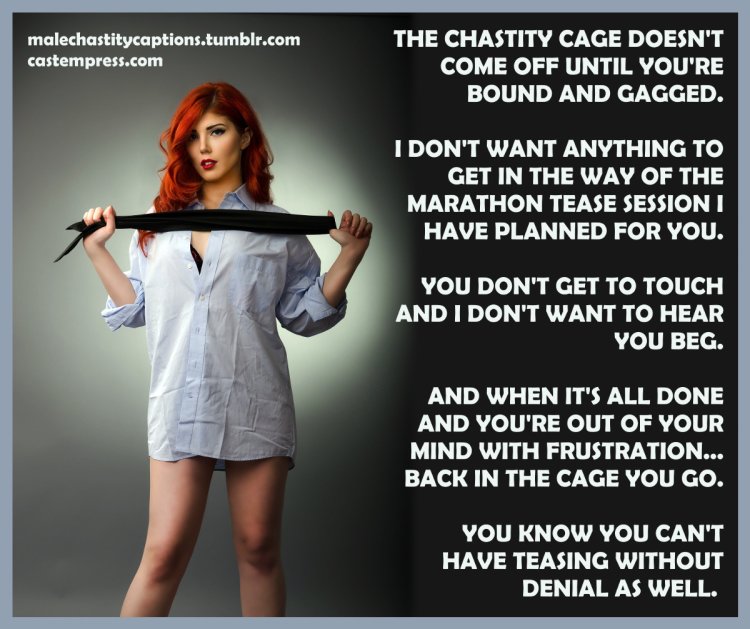 1 year in Chastity multi -comic