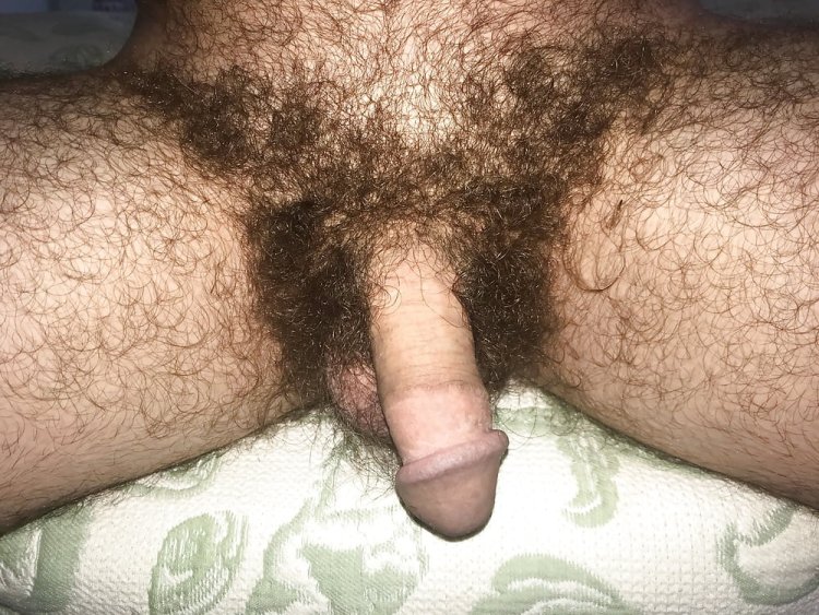 Hairy dick close -up