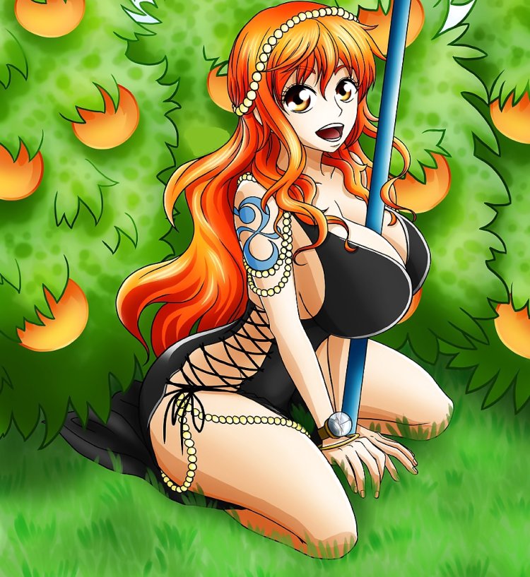 Nami One Piece Lozhbinka