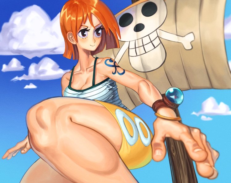 One piece nami nipples
