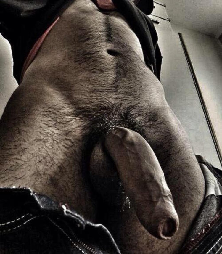 Beautiful hairy penis