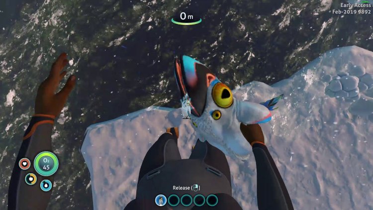 Alan and Robin Sabnatic