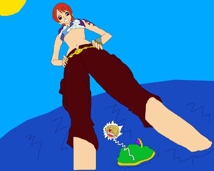 Niko Robin and Hankok