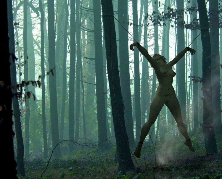 Beautiful naked woman stands