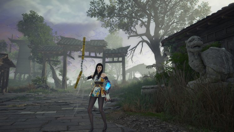 Naraka Blade Point Raikou