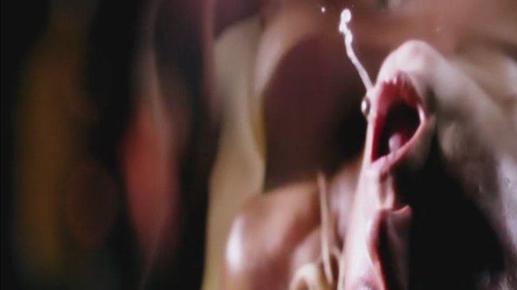 Olivia Abrokholos Elefant Nude