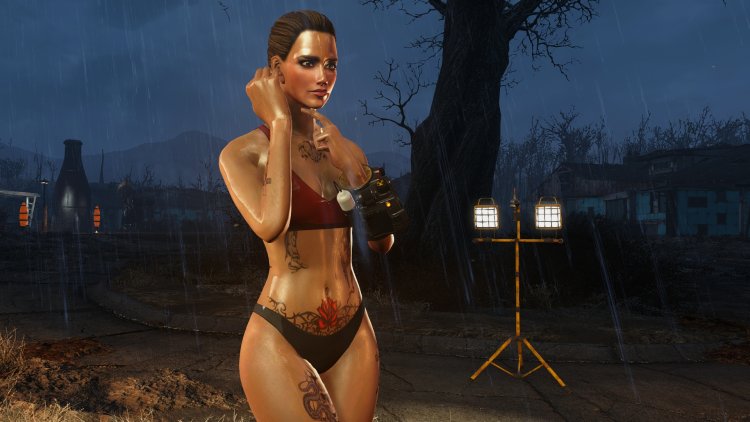 Fallout 4 Mod Companion Raider