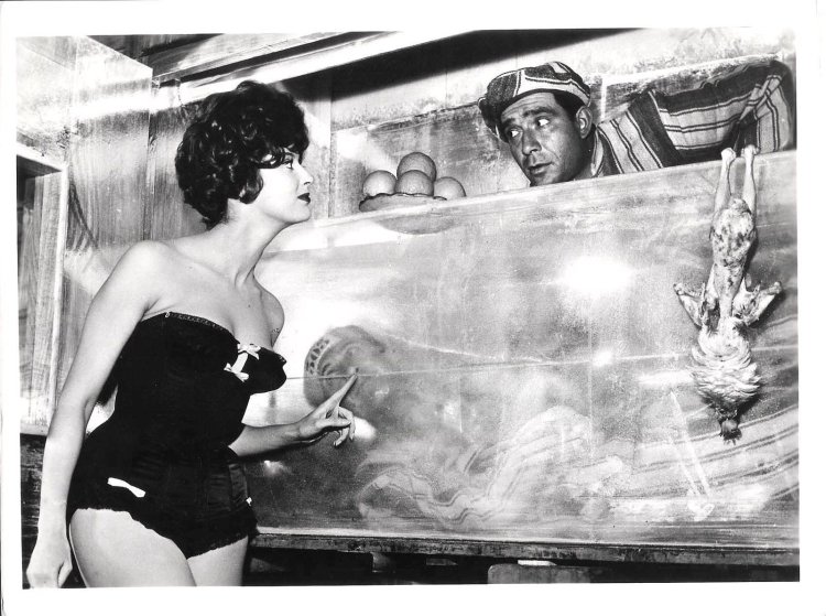 New Year's photo shoot in the style of PIN AP