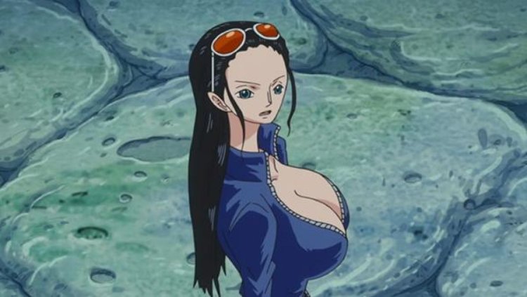 One Piece Robin Fanservice