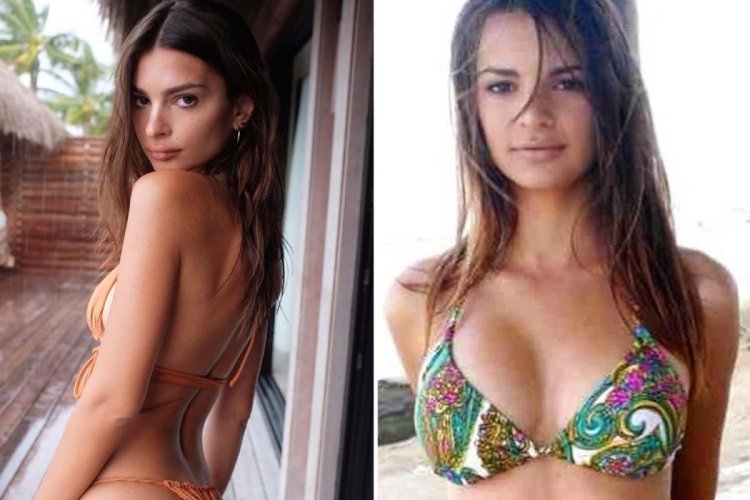 Stallion 2009 Alanna Yubak