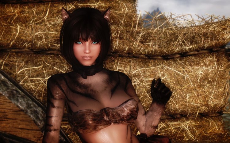 Skyrim mod for stockings