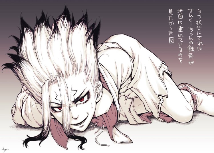 Kseno Dr. Stone Doctor