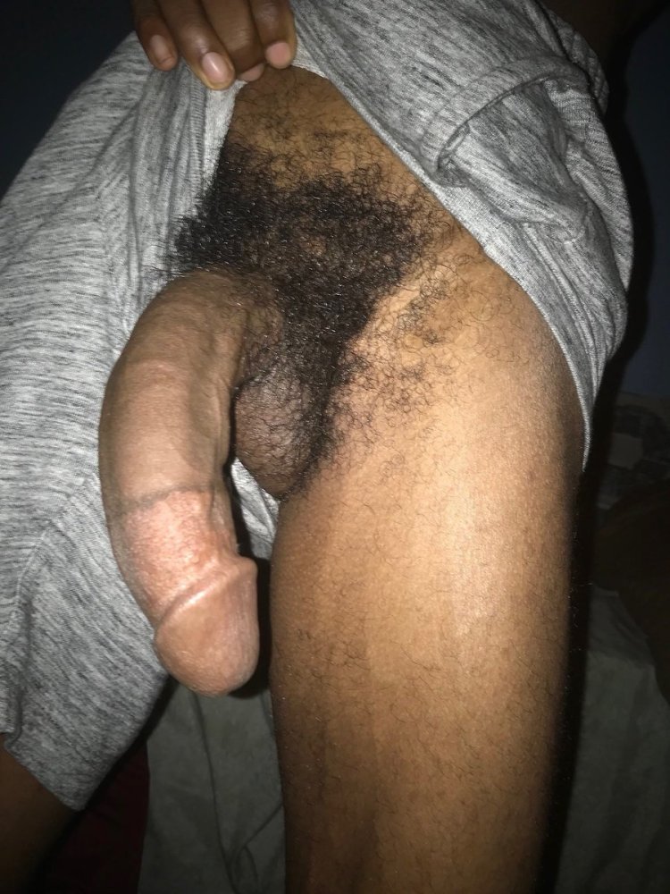 Male dick close -up