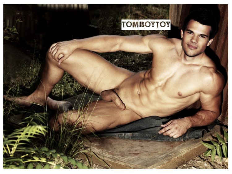 Taylor Lotner pornography