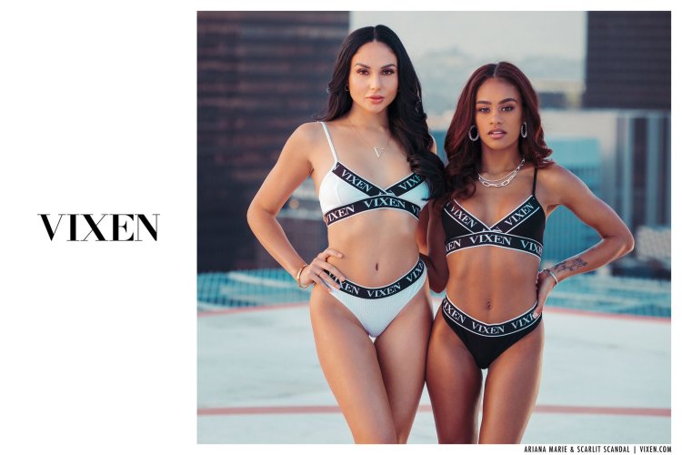 Vixen Ariana