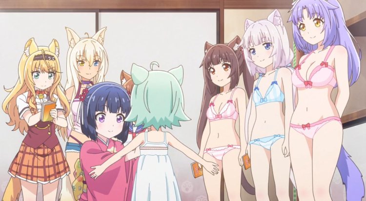 COCONUTKITTY143 Onlifans