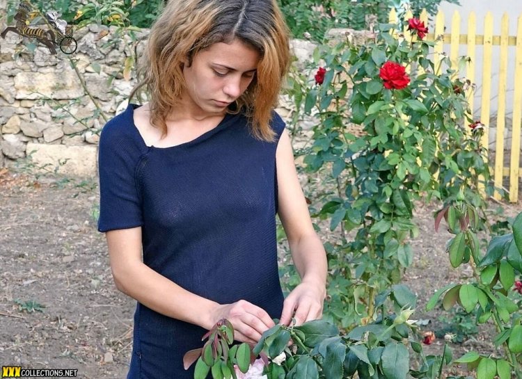 Saibirian Maus Veronica