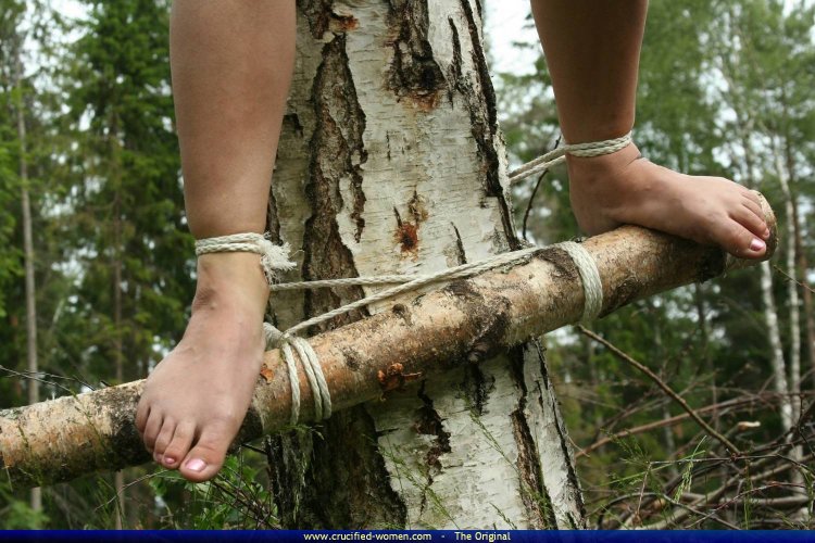 Kamo is a muddy crucifix Peter