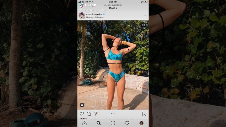 Charlie Damelio in a swimsuit