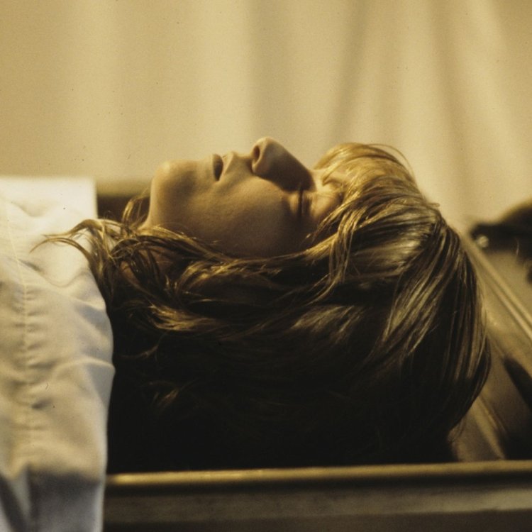 Kim Skrier Dawn of the Dead