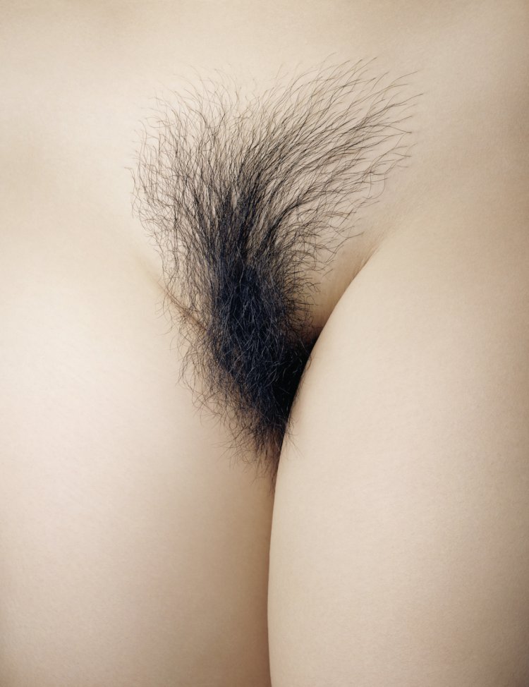 Female pubic hair