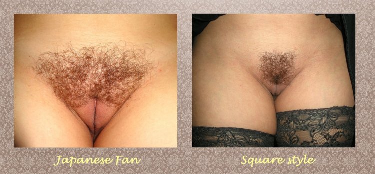 Intimate hairstyles in women