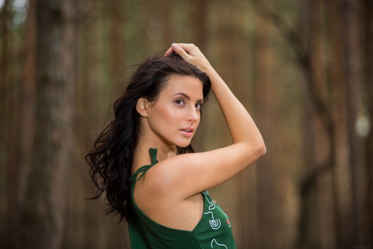 Sarah Silverman cowards