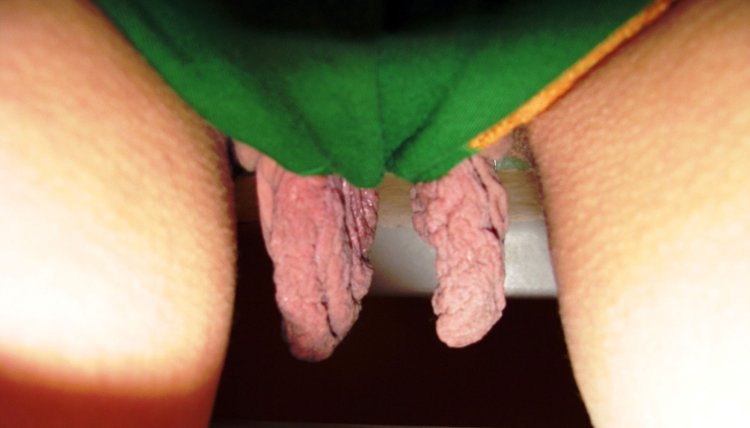 Hairy pussy with large labia