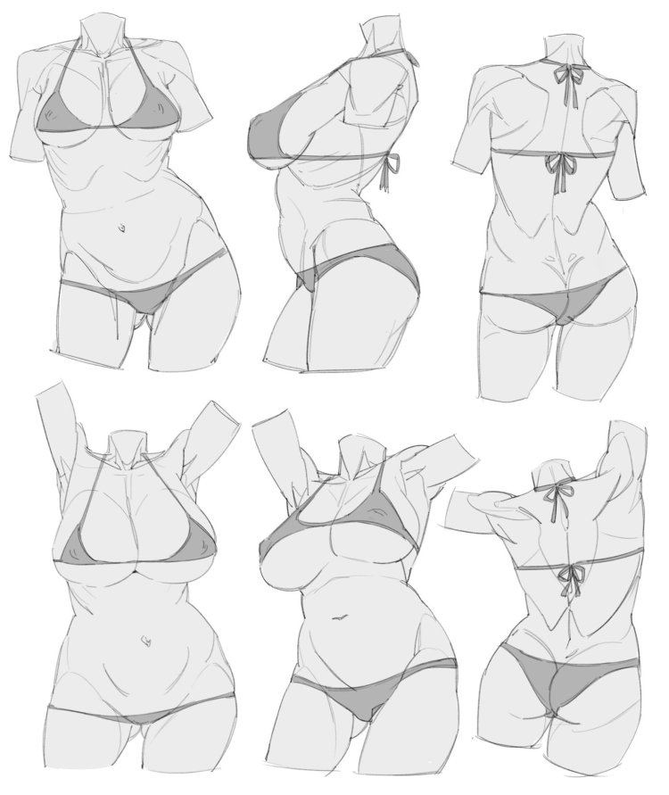 3D model of the female body in detail