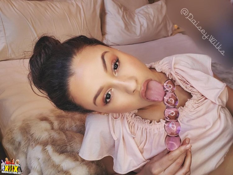 Patron Plum AftyNrose