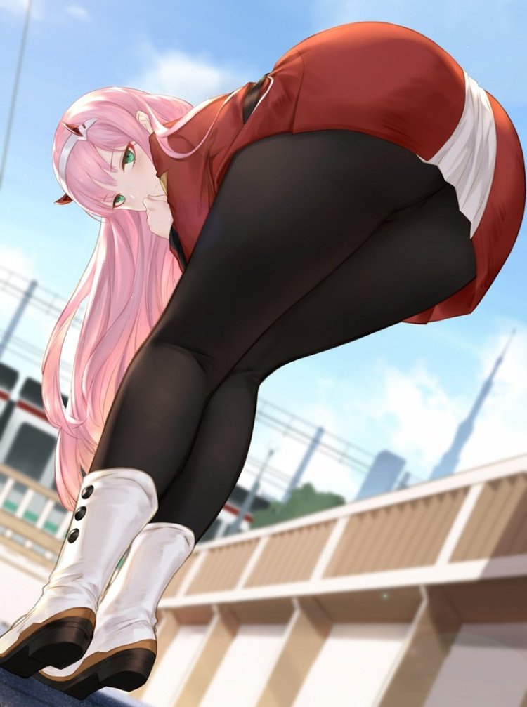 Darling in the Franxx Zero Two tights