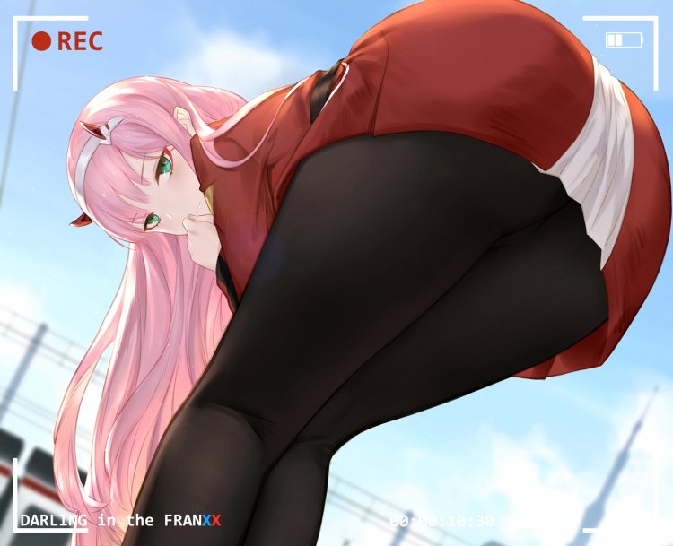 Anime Zero Two Darling in the Franxx tights