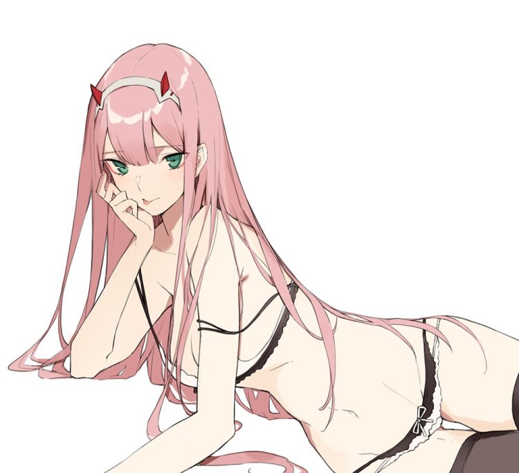 Zero Two Pantsu