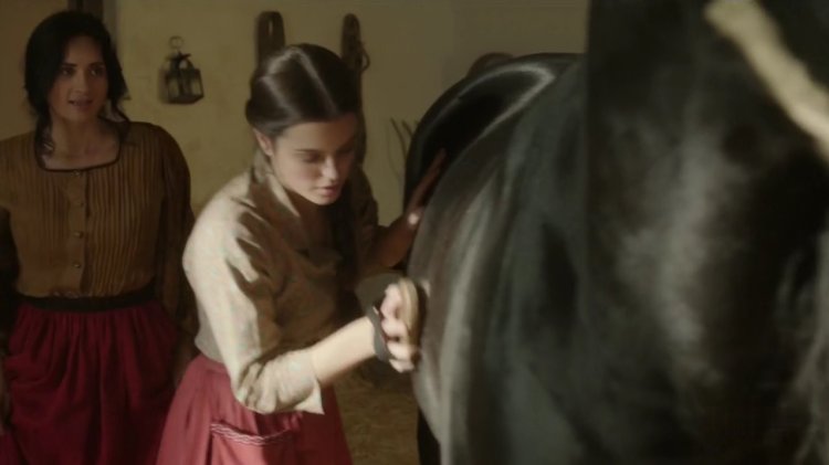 Terra de Lobos series