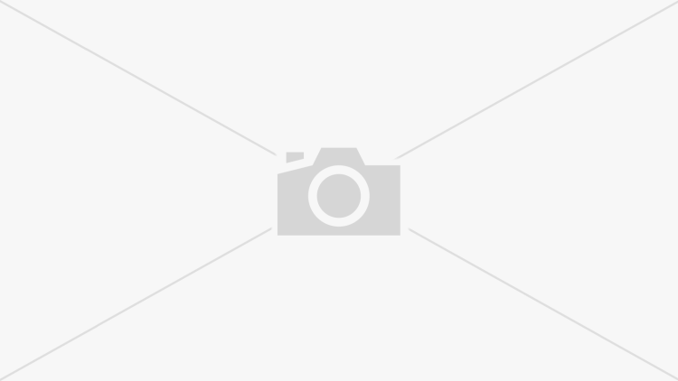 Amber model plus saz