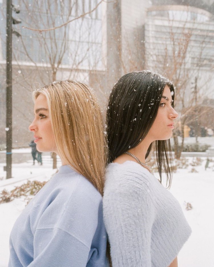 Charlie Damelio with friends